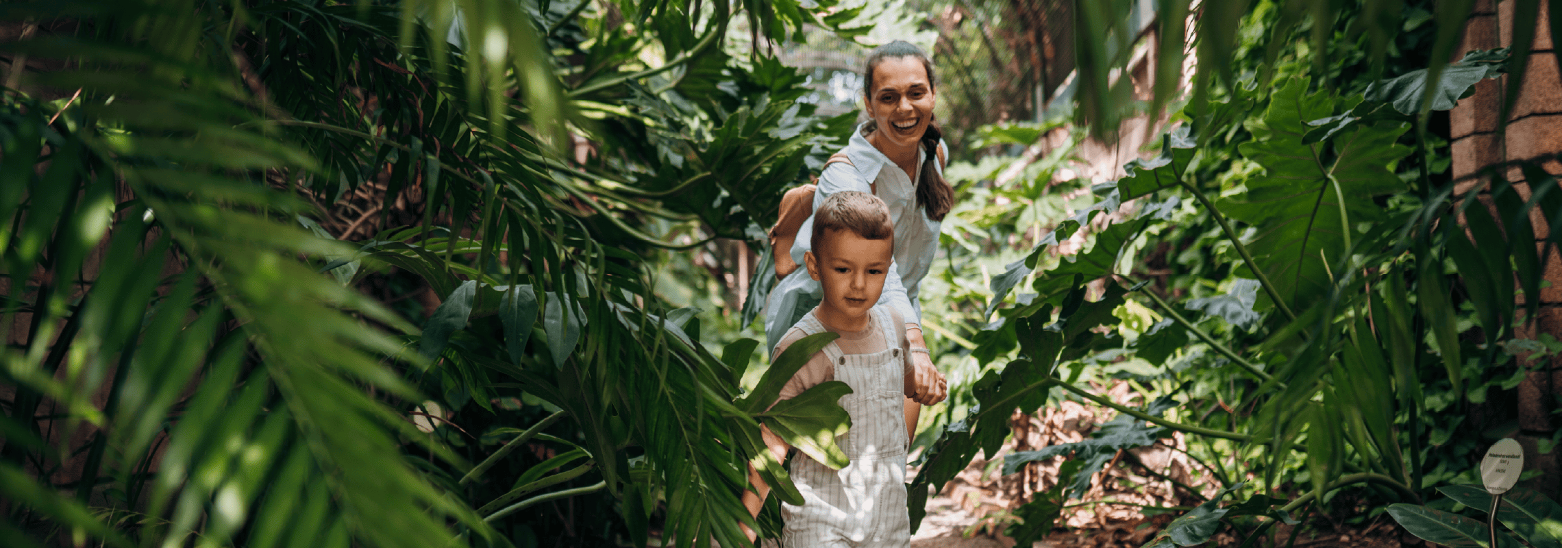 The Prague Botanical Garden L ta ka The Prague Botanical Garden L ta ka